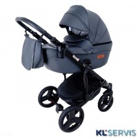 ДЕТСКАЯ КОЛЯСКА RAY CORSA ECCO 2 В 1