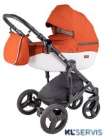 ДЕТСКАЯ КОЛЯСКА RAY CORSA ECCO 2 В 1
