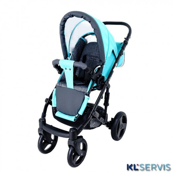 ДЕТСКАЯ КОЛЯСКА RAY CORSA ECCO 2 В 1