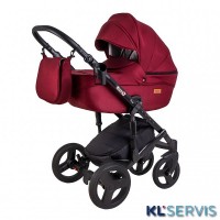 Детская универсальная коляска Ray Corsa 2 в 1