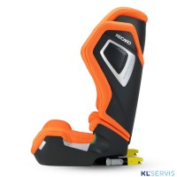 Автокресло Recaro Axion 1 (15-36 кг)