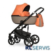 Детская коляска RIKO OZON ECCO 2 в 1