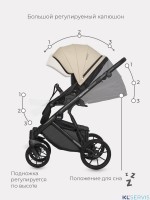 Коляска Riko Basic Montana Ecco 2 в 1 (100% кожа) 
