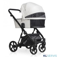 Коляска 2 в 1 Riko Basic Yoga Ecco New 