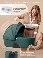 Коляска 2в1 SBL Dolce 2026 