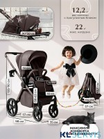 Коляска 2в1 SBL Elegante Therma (Colore) 