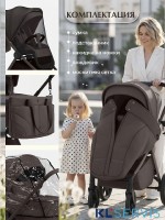 Коляска 2в1 SBL Elegante Therma (Colore) 