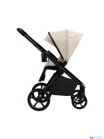 Коляска 2в1 SBL Elegante Therma (Colore) 