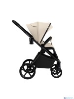 Коляска 2в1 SBL Elegante Therma (Colore) 