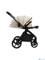 Коляска 2в1 SBL Elegante Therma (Colore) 