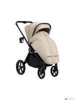 Коляска 2в1 SBL Elegante Therma (Colore) 