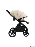 Коляска 2в1 SBL Elegante Therma (Colore) 