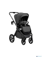 Коляска 2в1 SBL Elegante Therma (Colore) 