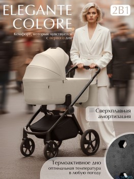 Коляска 2в1 SBL Elegante Therma (Colore) 