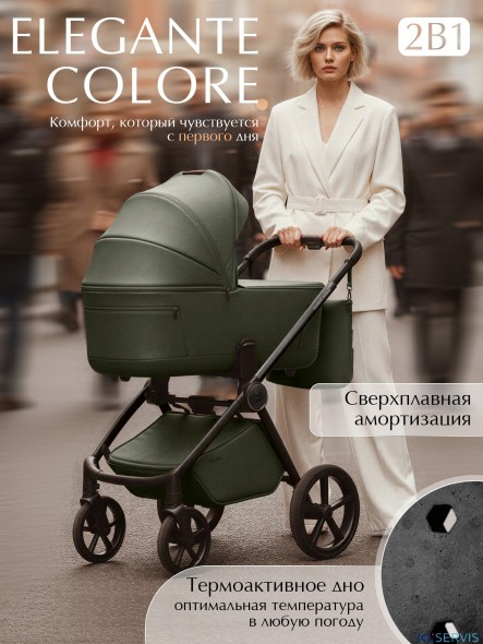 Коляска 2в1 SBL Elegante Therma (Colore) 