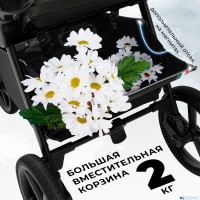 Прогулочная коляска SBL Elegante S 
