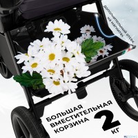Прогулочная коляска SBL Elegante S 
