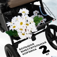 Прогулочная коляска SBL Elegante S 