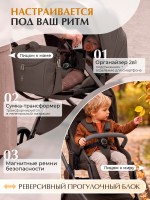 Коляска 2в1 Sweet Baby (SBL) Terra